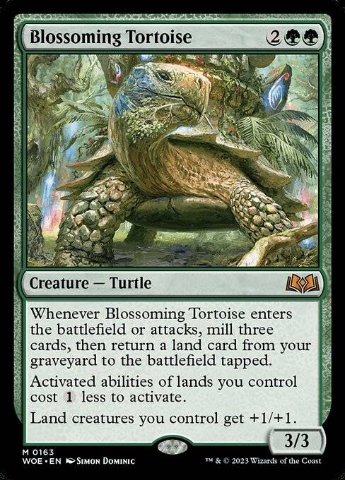 Jabuti Florescente / Blossoming Tortoise